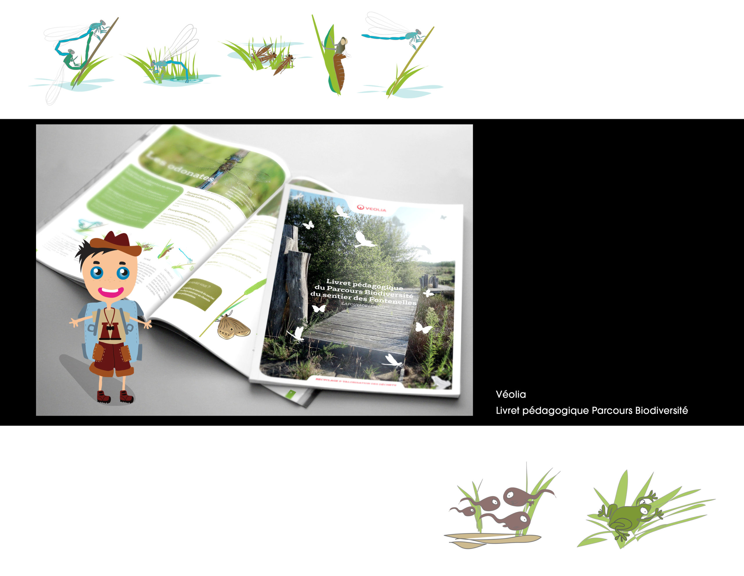 illustration nature