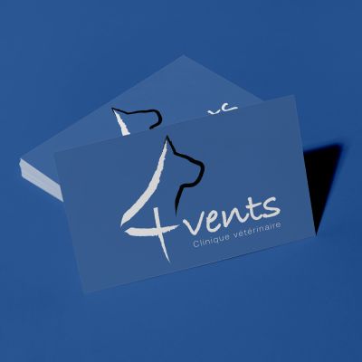 Logo Clinique vétérinaire des 4 vents