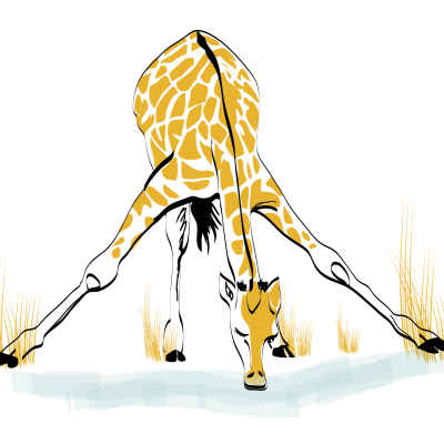 Illustrations voyage Afrique du Sud