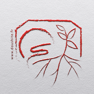 Logo coach Benjamin Cabanne