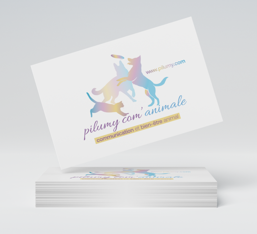 Logo Pilumy com’animale – Communication animale