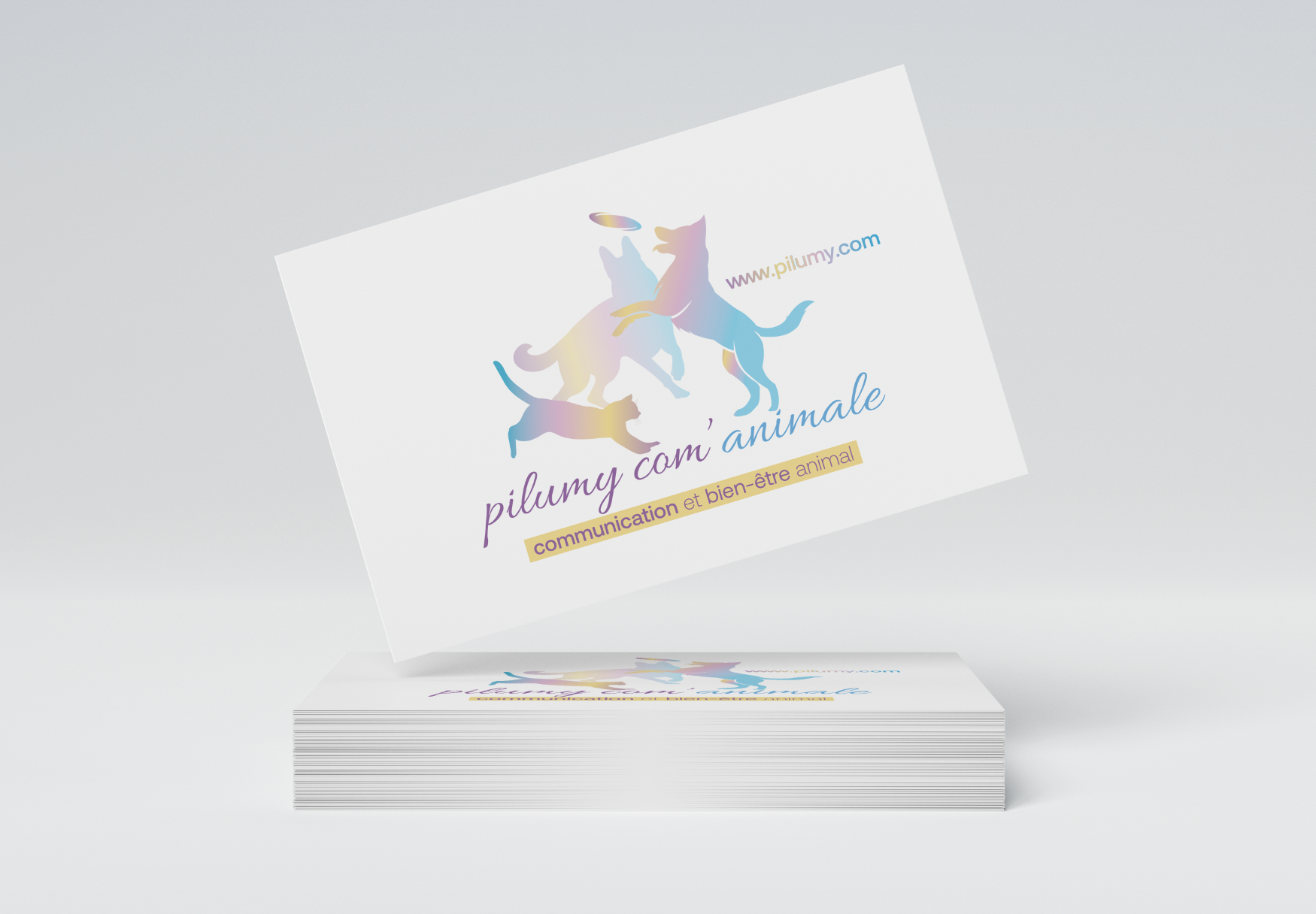 Logo Pilumy com’animale – Communication animale